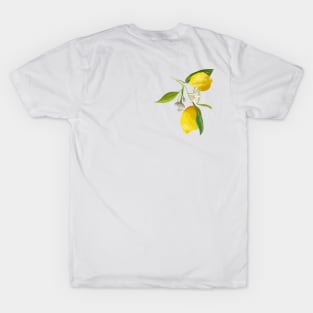 Lemons T-Shirt